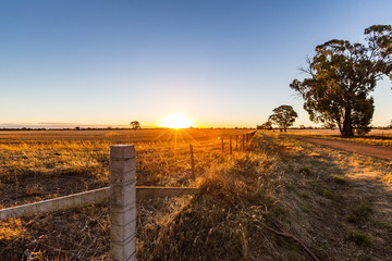 A dirt road through farmland at sunset on a blue sky day. Central Victoria.