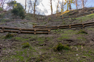 Fototapeta na wymiar Italy, Lecco, Lake Como, WOODEN LOG ON FIELD AGAINST TREES IN FOREST