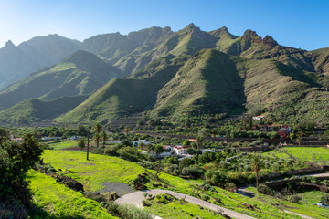 Fertile valley with mango and oranges fruit plantations, vineyards and avocados orchards near Agaete, Gran Canaria, Canary islands, Spain - obrazy, fototapety, plakaty