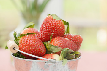 Strawberries in the Bucket