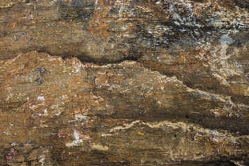 texture of old wall