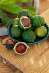 New harvest of ripe fresh Australian macadamia nuts in shell with leaves