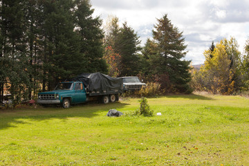 Fototapeta na wymiar trucks next to a woods