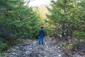 Fototapeta premium boy in woods