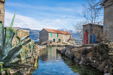 Seaside rustic landscape, old houses surrounded by exotic plants on the Adriatic coast in the...