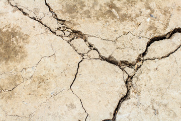 dried and cracked soil