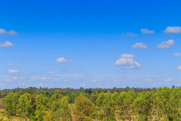 Blue sky background and white clouds in sunny day over the green forest