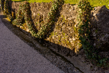 Italy, Lecco, Lake Como, a path with creeper on the side of the road