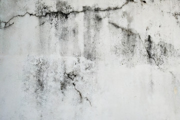 Cracked, weathered white wall with black mold
