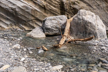 Driftwood between rocks in front of a steep stone wall in the river by the Samaria Gorge on the...