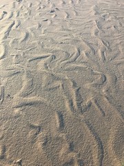 footprint in sand
