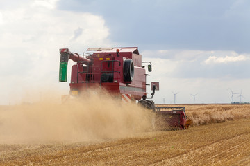 Obraz premium Agriculture - Moisson d'un champ de céréales