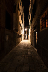 Fototapeta na wymiar Venice by night
