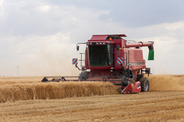 Agriculture - Moisson d'un champ de céréales
