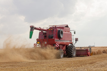 Fototapeta premium Agriculture - Moisson d'un champ de céréales
