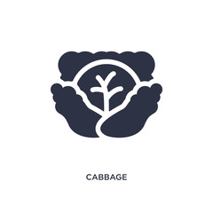 cabbage icon on white background. Simple element illustration from fruits concept.