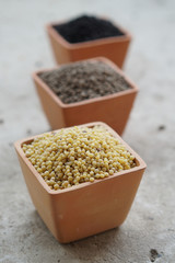 Three color of  Diammonium phosphate (DAP) in clay pots