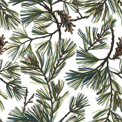 Floral seamless pattern with spruce branches and pine cones. Botanical illustration drawn with color pencils in vintage style isolated on white.Great for bedding, fabric, clothes, wallpaper, wrapping.