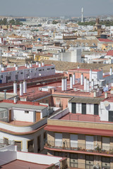 View of Roof Tops, Seville