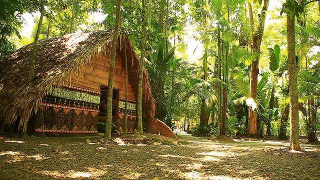 An old native Brazilian hut in the Amazon rainforest.
