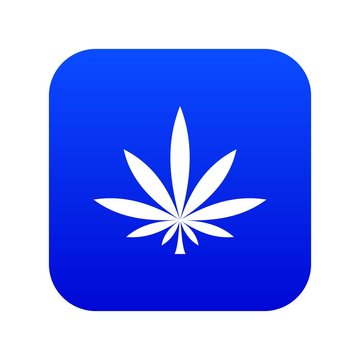 Cannabis leaf icon digital blue for any design isolated on white vector illustration