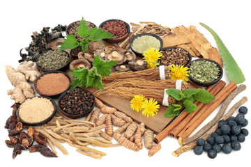 Adaptogen food selection with herbs, spices and supplement powders. Used in herbal medicine to help the body resist the damaging effect of stress and restore normal physiological functioning.