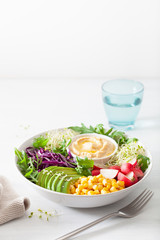 vegan avocado sweet corn lunch bowl with hummus, red cabbage, radish and sprouts