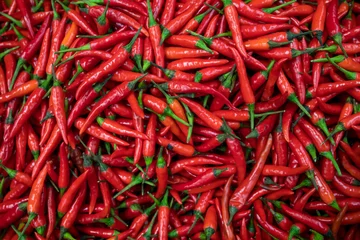 Fotobehang rode hete chili pepers © Chouk