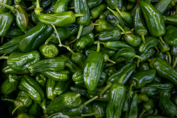 green peppers on display at the market