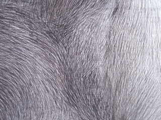 line pencil on white paper abstract background and texture.