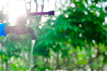 Water valve on green nature background, Close up tap valve with blur background of green tree,...