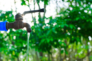 Water valve on green nature background, Close up tap valve with blur background of green tree,...
