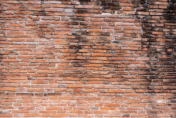 Naklejka premium old red brick wall background