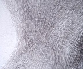 line pencil on white paper abstract background and texture.