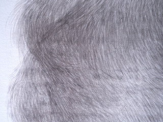 line pencil on white paper abstract background and texture.