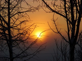 Sonnenaufgang Sonnenstrahlen Sonne Nebel Nebelschwaden Landschaft Ruhe Stille Gegenlicht Baum Bäume Morgenstimmung Tagesanbruch helle Strahlen gelb orange Winter Wintermorgen kalt Frost Reif Rauhreif