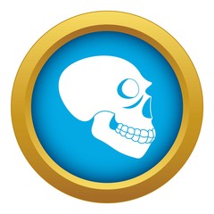 Skull icon blue vector isolated on white background for any design