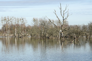 Naturschutzgebiet Vorpommern