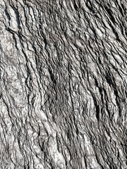 Section of slated rock on a cliff face on the Devon coast UK