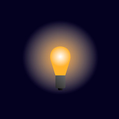 Light bulb vector graphics