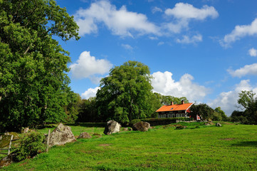 Obraz premium Ferienhaus in Schweden