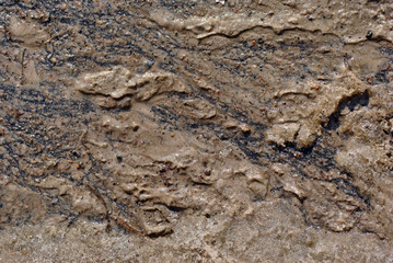 Dirty wet sand on asphalt, grunge horizontal shabby background detail close up