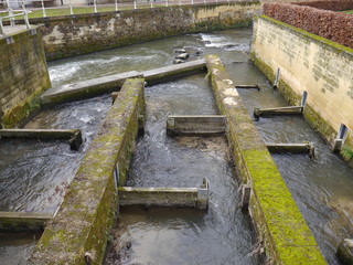Valkenburg Niederlande Zentrum Fischtreppe