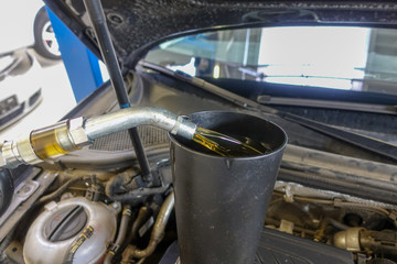 Fototapeta na wymiar Engine oil is filled into a car engine