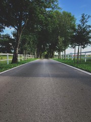 Road in Lipica, Slovenia
