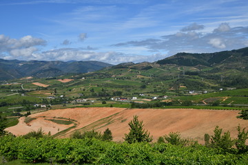 Naklejka premium Panoramic of an agricultural landscape