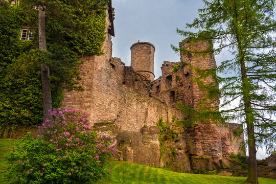 A very romantic view of the Hanstein Castle surrounded by flowers trees and a lawn. The ruined castle in Central Germany near Bornhagen in Thuringia was destroyed during the Thirty Years' War. 