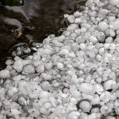 hailstones on the ground after hailstorm, hail of great size, hail sized with a larger coin