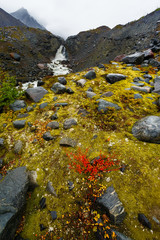 Snowy Mountain Peak and Stream