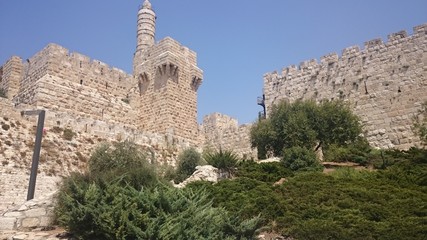 The defensive wall of ancient Holy Jerusalem, illuminated by the bright sun. Clear the sky and and green bushes.